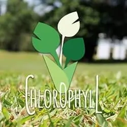 logo design webdesign chlorophyll