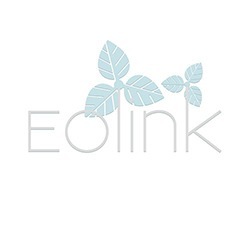 web logo graphisme design Eolink