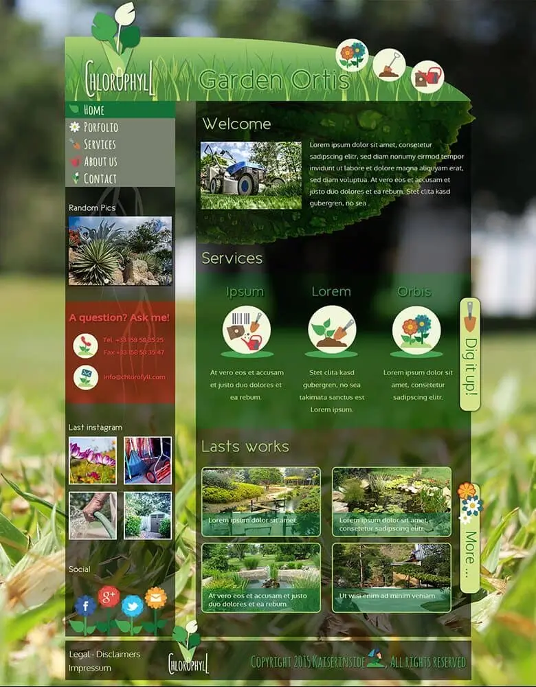 webdesign chlorophyll
